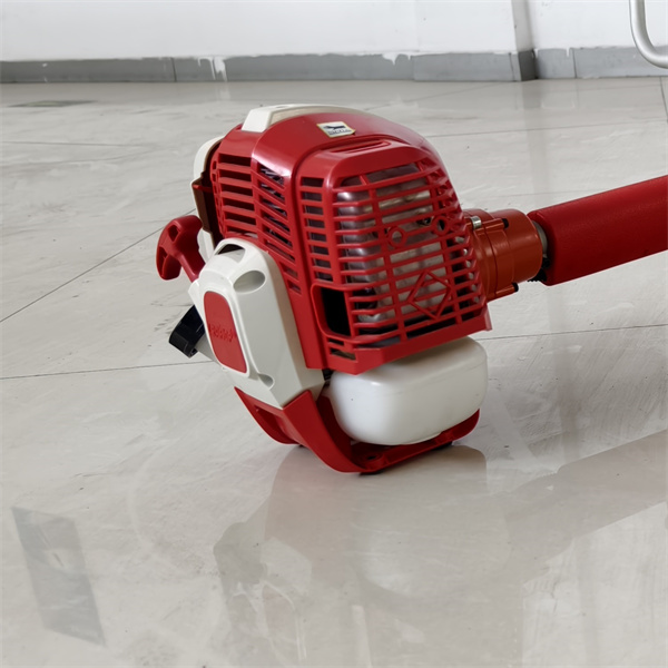 Safety when using Whipper Snippers
