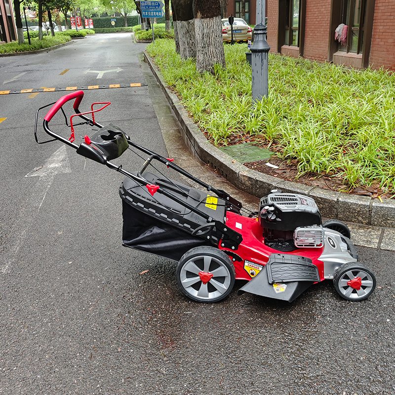 cordless lawn mover 2.jpg