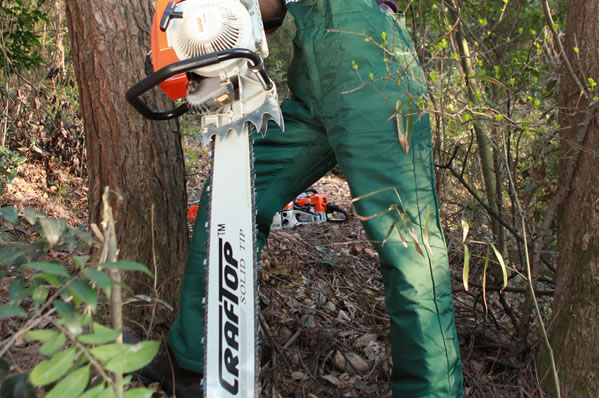 Phokoso la Precision: Kudziwa bwino Chipululu ndi CRAFTOP NT10500 Chainsaw!