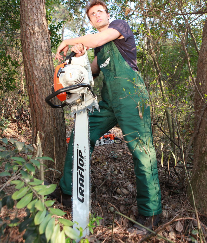 professional chainsaw