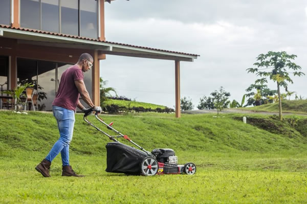 lawn mower