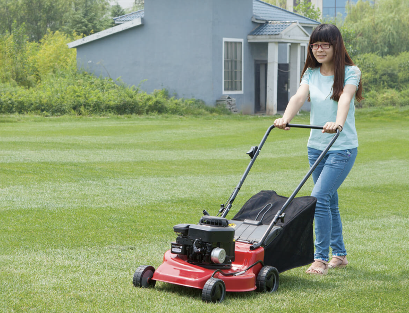 Brush Cutters.3