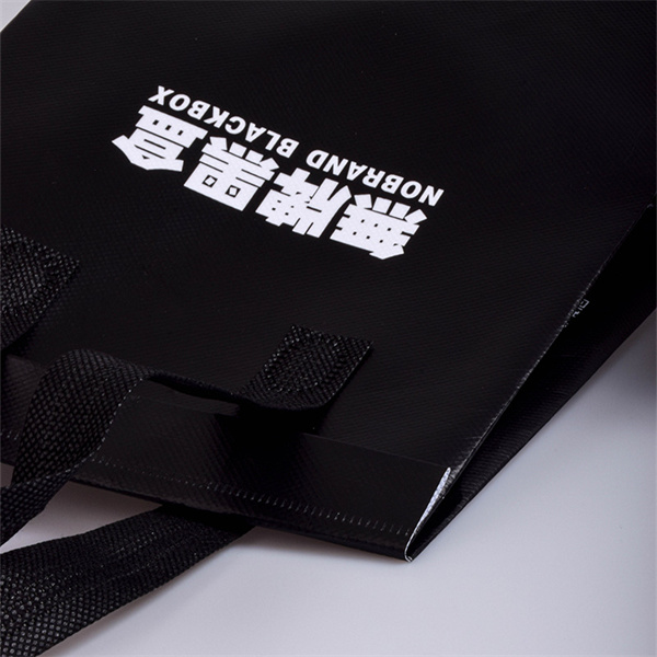 The Future of Shopping with Antibacterial Bags