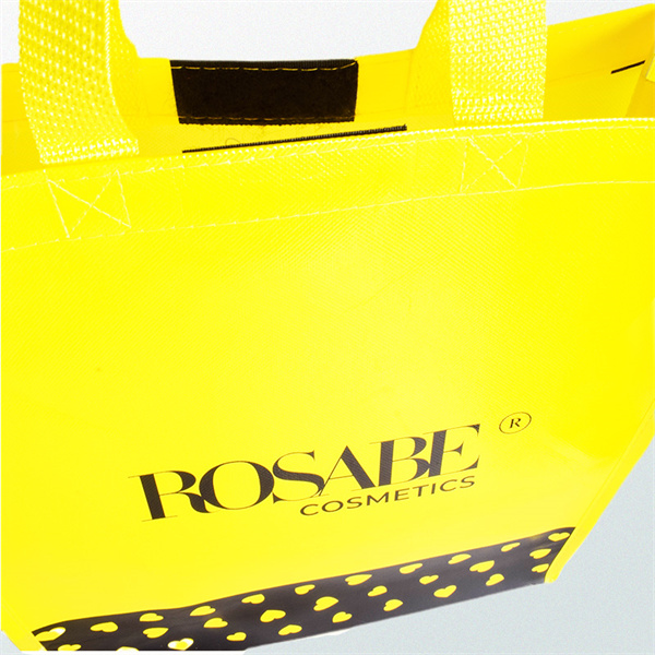 Shop smart and live lightly with our lightweight foldable bags