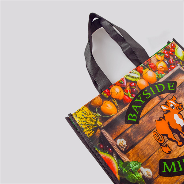 How Big Reusable Bags Can Make Life Easier