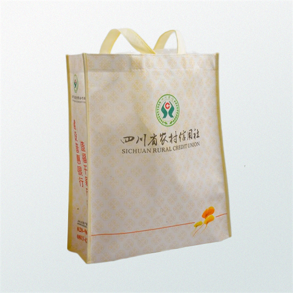 Invest in Big Reusable Grocery Bags for a Cleaner Planet and Easier Shopping