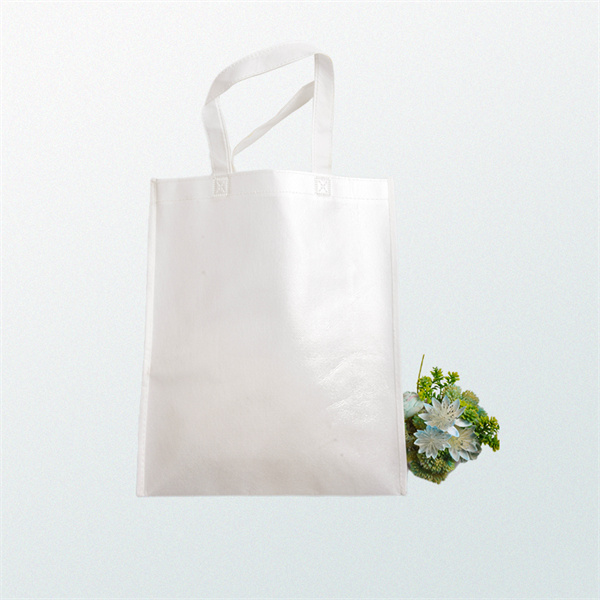 The ultimate solution for environmentally-conscious bag users!