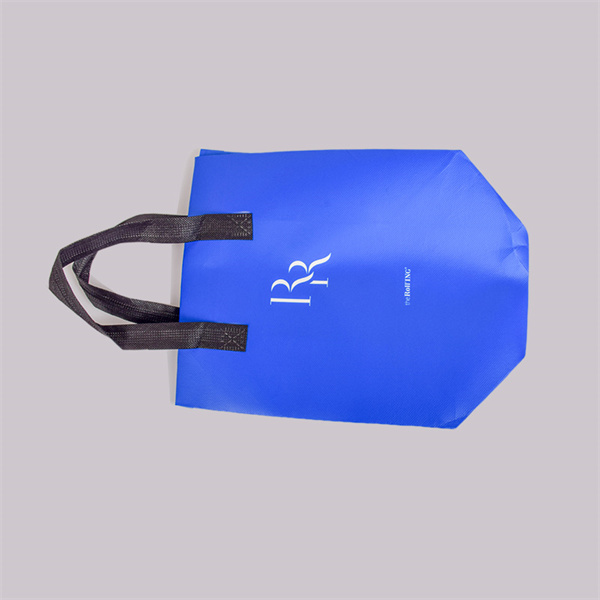 Durable and sustainable shopping companion