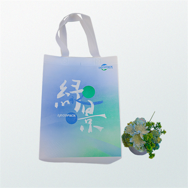 The Rise of Biodegradable Takeout Bags