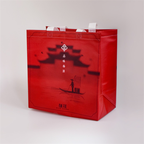 Carry More with Less Plastic Waste - Bulk Order Reusable Grocery Bags