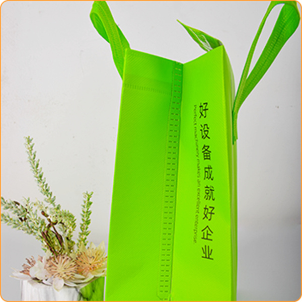 Reduce Your Carbon Footprint with Budget-Friendly Biodegradable Bags