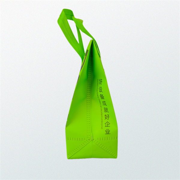 How Cheap Cloth Grocery Bags can Promote a Greener Lifestyle