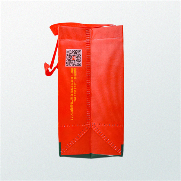 Small changes, big impact how switching to an eco bag can make a difference.