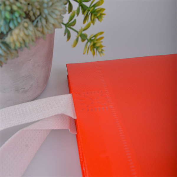 Eco-friendly shopping made affordable with these budget tote bags!