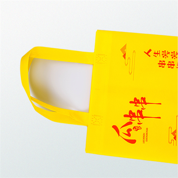Effortless Storage and Reuse with Foldable Non Woven Bags