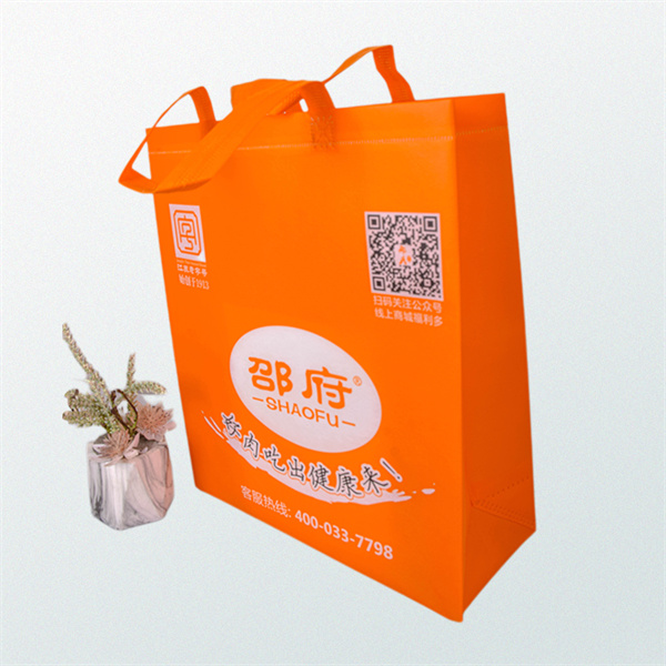 The Lightweight and Durable Alternative to Plastic Bags