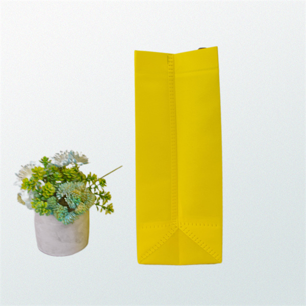Cheap Reusable Grocery Bags