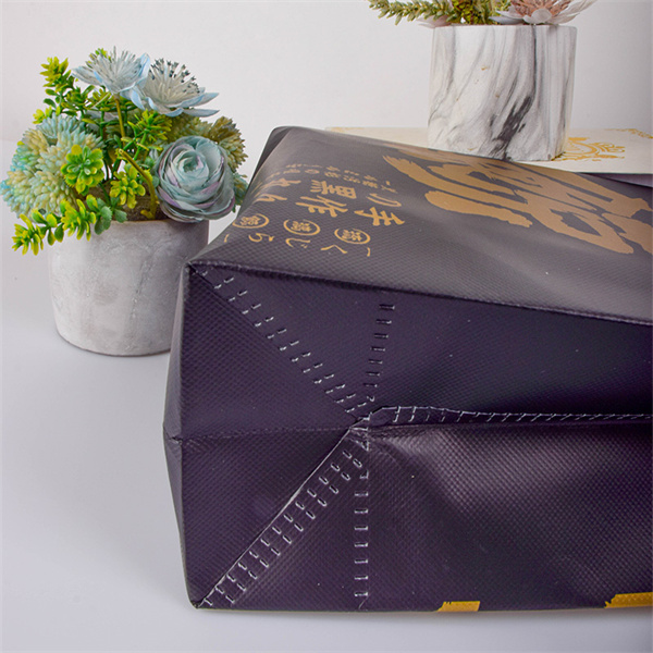 The Ultimate Green Alternative to Plastic Bags