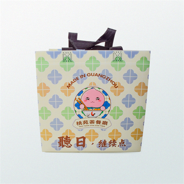 Convenience and Sustainability in One Bag