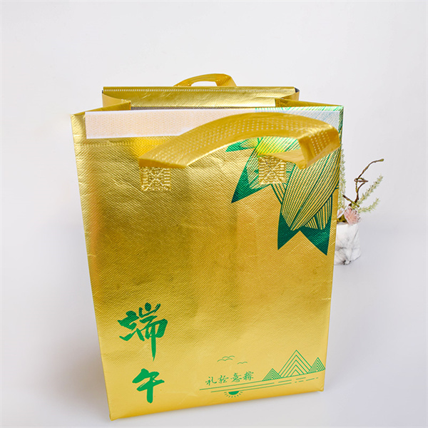 Discover the Benefits of the Collapsible Shopping Bag