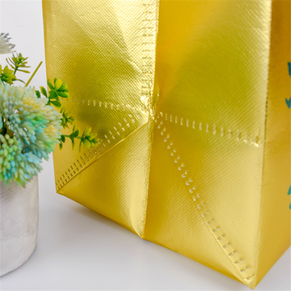 Meet the Collapsible Shopping Bag