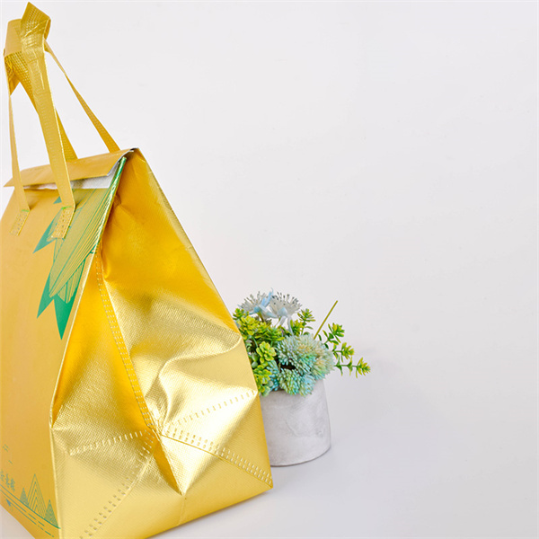 Use a Collapsible Shopping Bag