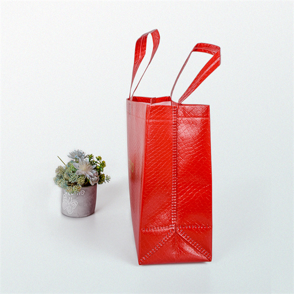 Simplify your shopping trips with our reusable collapsible box bag