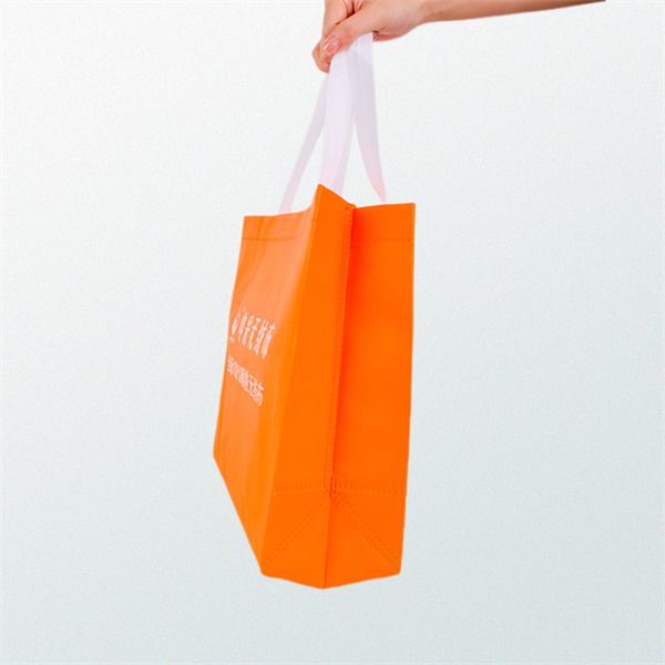 Ditch Plastic Bags for a Stylish Alternative