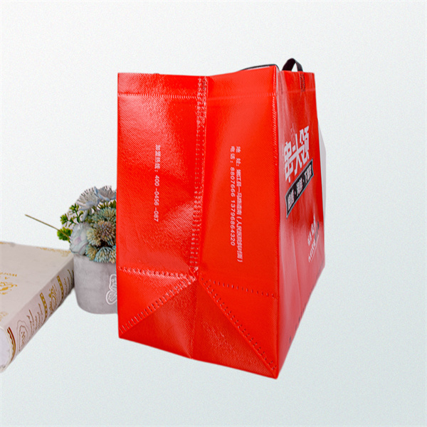 Stylish and Durable Non Woven Bags Custom Made for Y