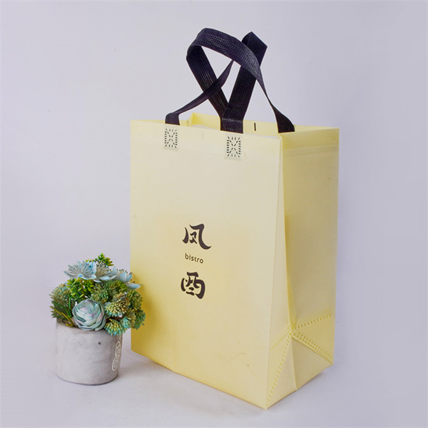 Brand Your Business with Custom Non Woven Shopping Bags.