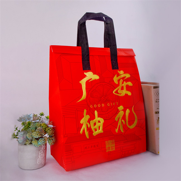 Custom Reusable ShoppingBags for All Kind of Events