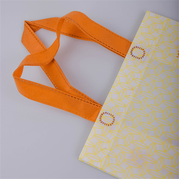 One Bag for a Lifetime of Convenience