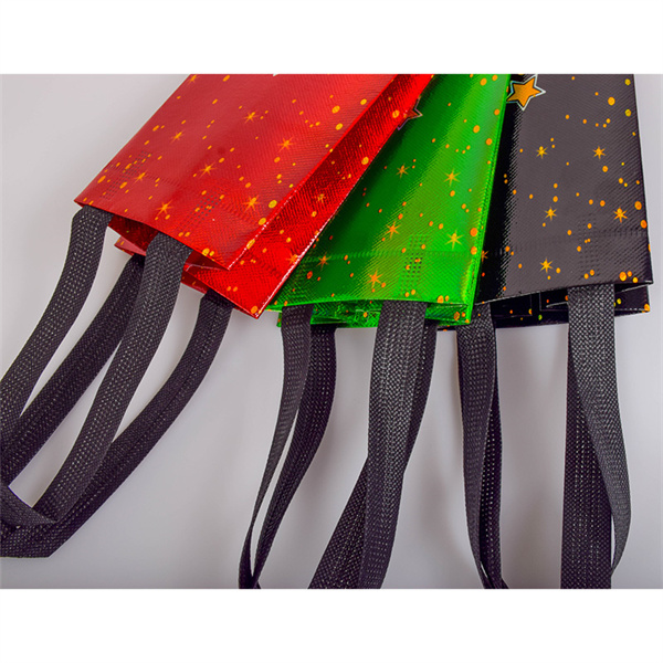 How Eco Bags Can Replace Your Need for Multiple Bags