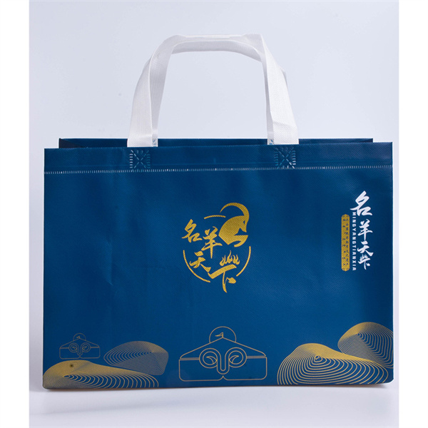 Be stylish and eco-conscious with our reusable clothing bags