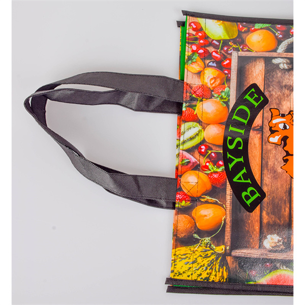 Eco-friendly grocery bags for a greener future