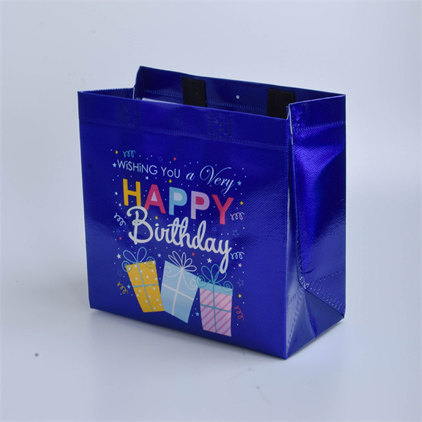 Environmentally Safe Hand Bags