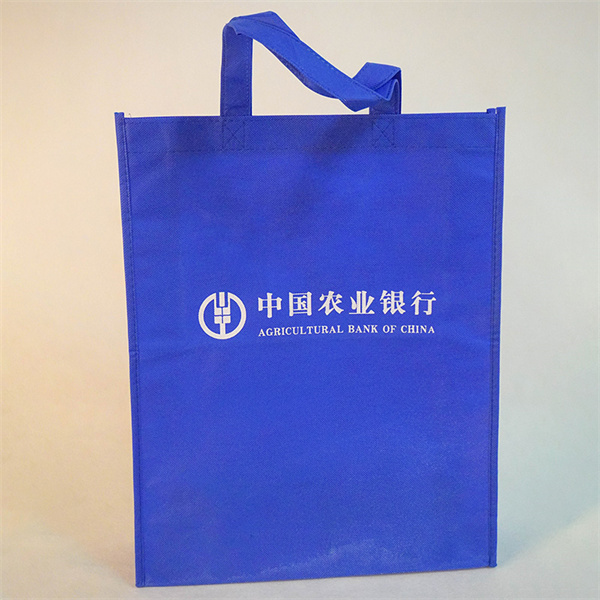 Say No to Single-Use Plastic with Non Woven Bags