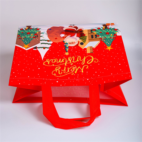 Introducing our sustainable gift bag options