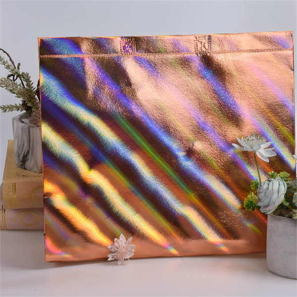 Large Reusable Tote Bags for Everyday Use