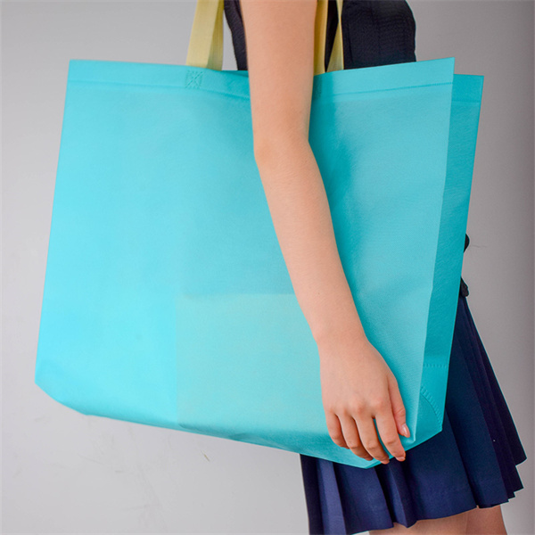 Trendy reusable bags for everyday use