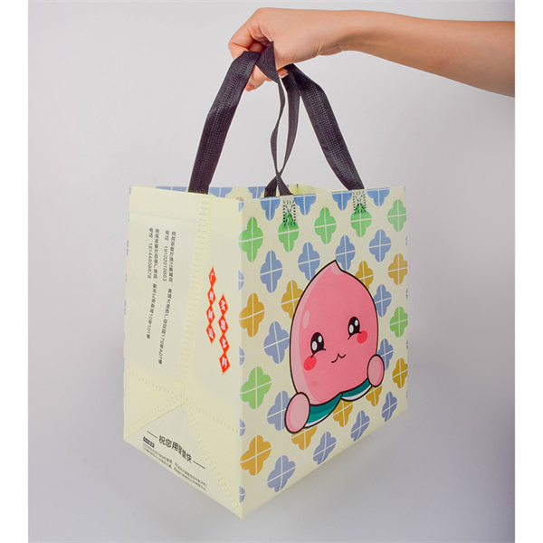 Flat Bottom Reusable Shopping Bags