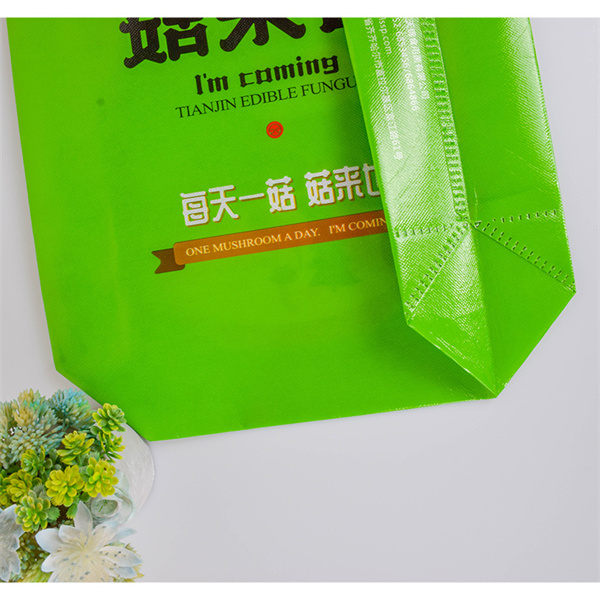 Join the movement towards sustainable shopping with green reusable grocery bags