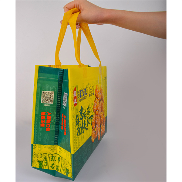Say Goodbye to Plastic 2013 Switch to Green Reusable Shopping Bags