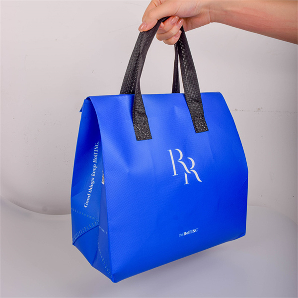 Sustainable Grocery Hauls with Reusable Bags