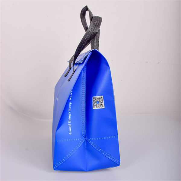 Going Green with Eco-Friendly Grocery Bags