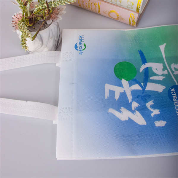 The Impact of Using Reusable Grocery Bags