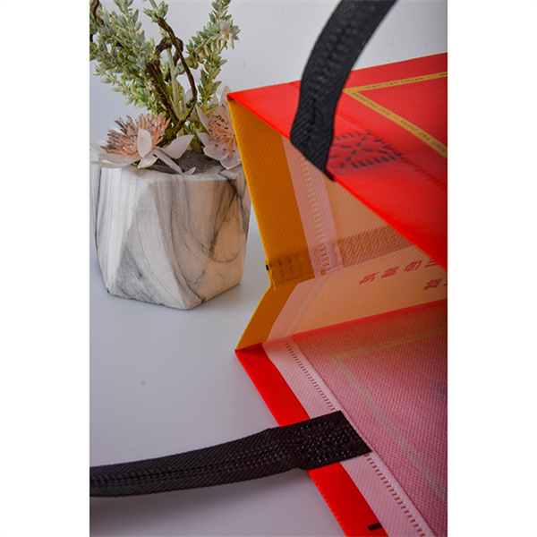 Heavy Duty Reusable Bags