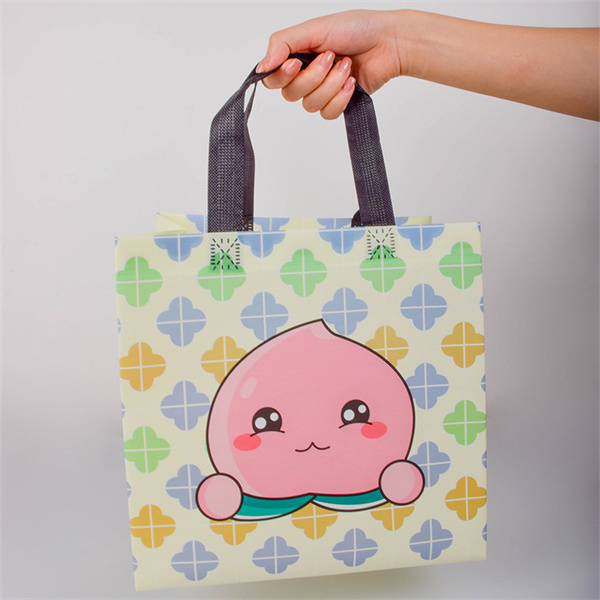 The Benefits of Reusable Shopping Bags