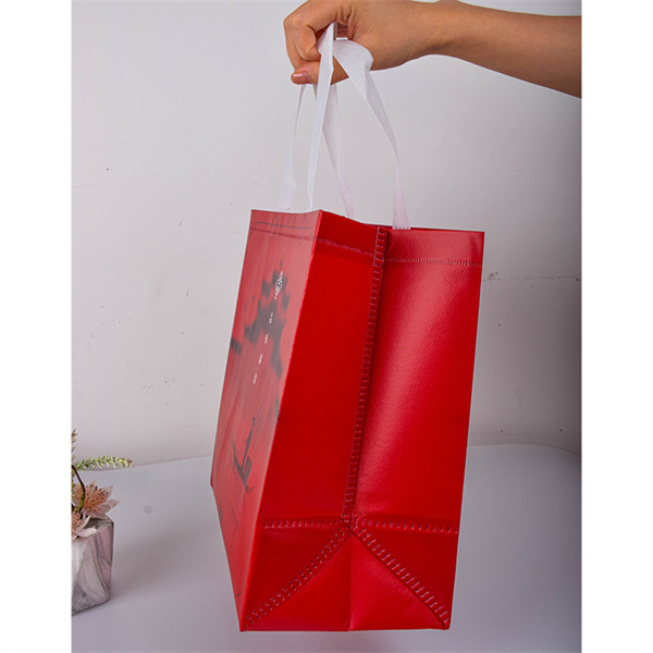Go green on a budget with these inexpensive reusable grocery bags