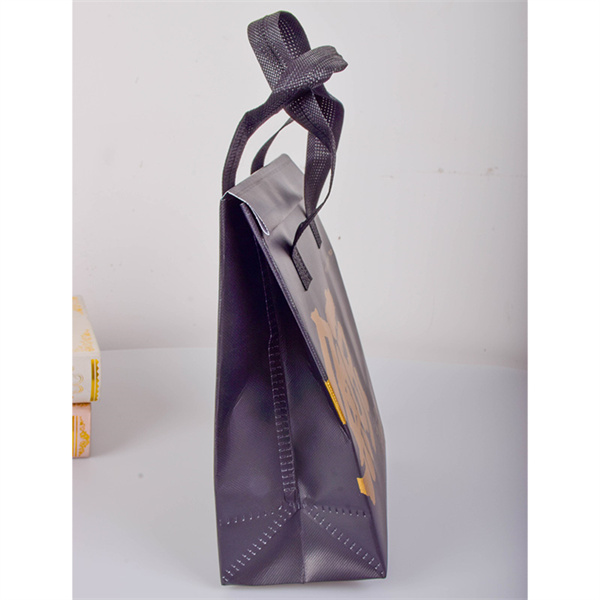 Say Goodbye to Single-Use Bags with a Reusable Foldable Shopping Bag